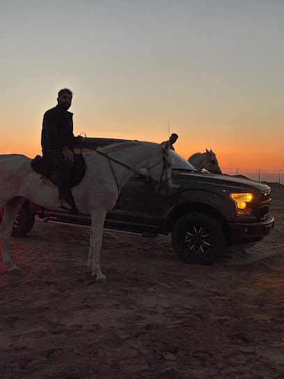 مربط سليم للفروسية - Oman|Murayjat|PQGQ+XW