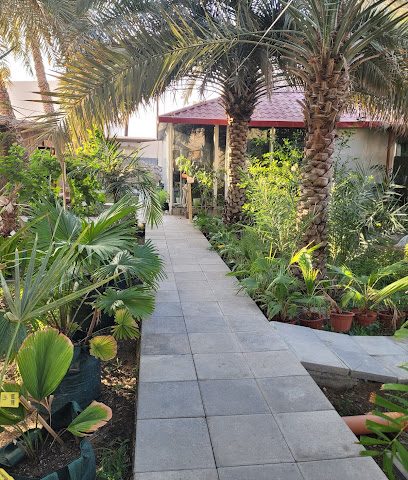 حديقة بالميرا النباتية - مسقط - +968 9919 6485