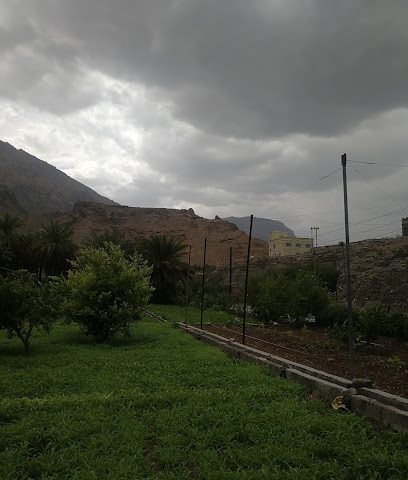 الهودنية - مرة -