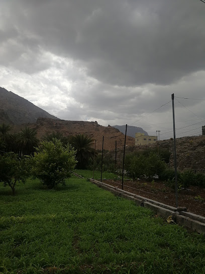 الهودنية - Oman|Murrah|5JPF+FH