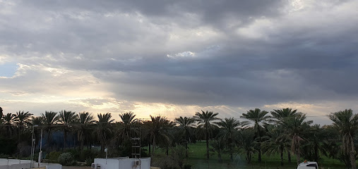 شركة الخليجية لانتاج الفطر شركة منتجات فطر الخليج (ش.م.ع.ع) - السقسوق - +968 26 883522