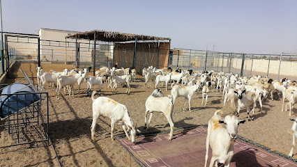مسلخ وعزبة العوان - ادم ، - +968 7287 2228