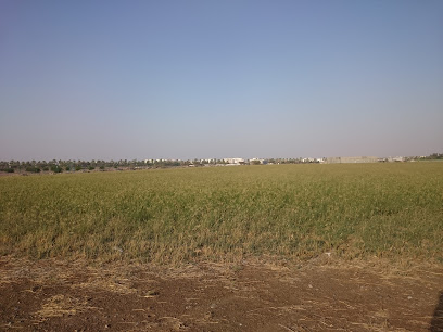 محطة التجارب الزراعية - السيب -