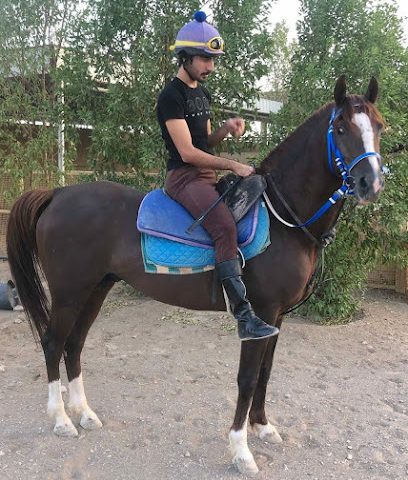 مربط عبري للخيول العربيه - عبري - +968 9818 8885