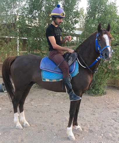 مربط عبري للخيول العربيه - Oman|Ibri|7G2J+F58