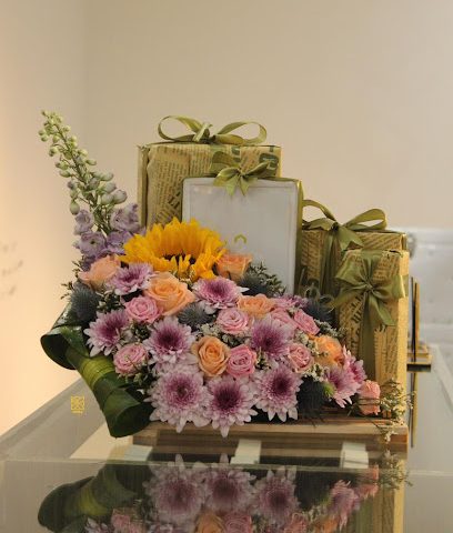 فيورا - نزوى - +968 9706 4383