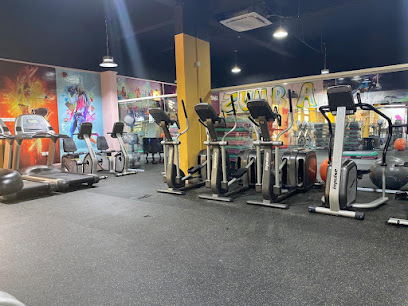 صالة M GYM - صحار - +968 7197 2760