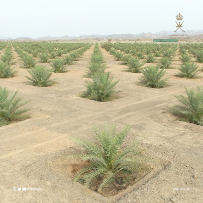 ديوان البلاط السلطاني - مزرعة إبراء - إبرا -