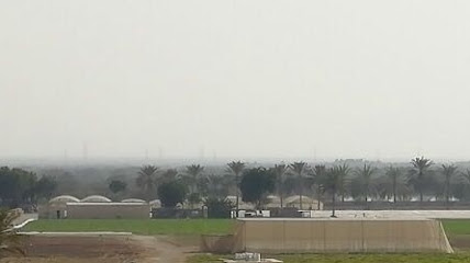 مزرعة أبو سلطان البويقي - المدق - +968 9539 6576