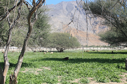 حديقة الشريعة - خصب -