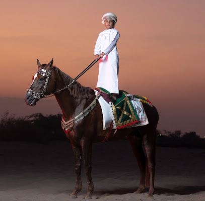 رياضة ركوب الخيل ركوب الخيل - إبرا - +968 9719 9079