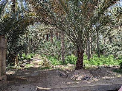 مسجد بلاد شاحك - بدية -