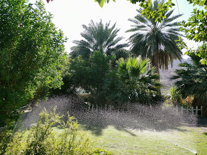 طوي القويرة - نزوى -