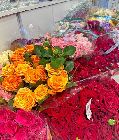 واحة الأفنان واحة الافنان - صحار - +968 9480 0822