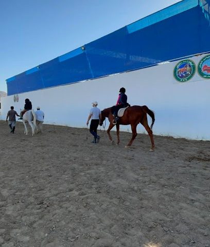 إسطبل أسد الأطلس للفروسية - العامرات - +968 9589 8903