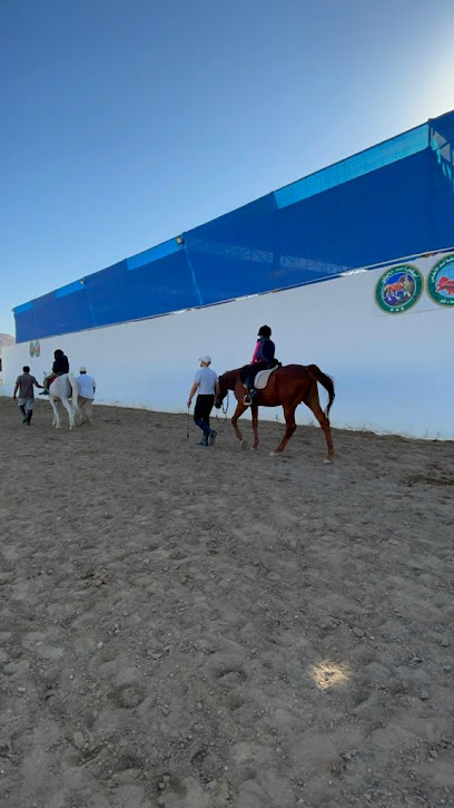 إسطبل أسد الأطلس للفروسية - Oman|Al Amarat|Unnamed Road