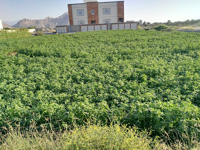 منتجع جرين جيست - ماناه - +968 9117 5788
