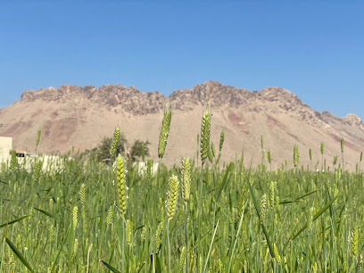 حيل فرق (المهاب) - حي التراث -