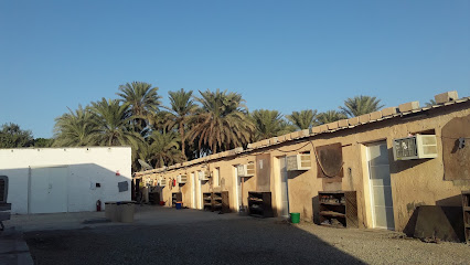 النهضة فلج كامب - صحار - +968 9574 1240