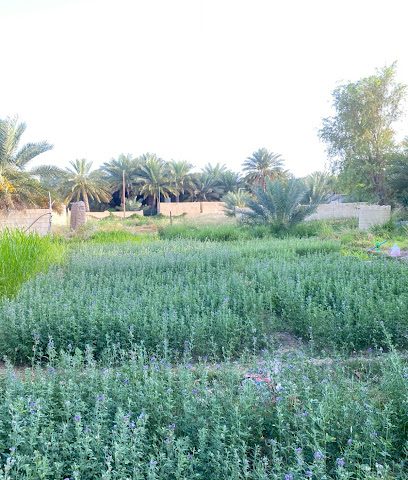 العتب - ازكي ، -