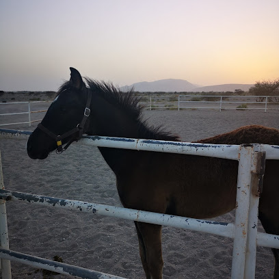 إسطبل الريامي - آدم -