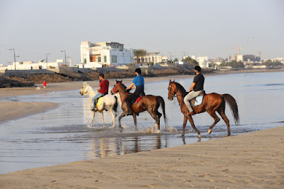 سوهال الخيل - مسقط - +968 9474 7664