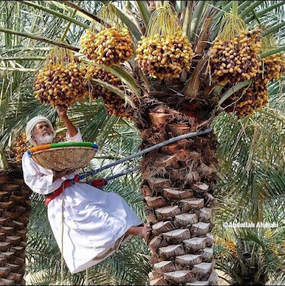 محل غسيل - صحار - +968 9410 3417