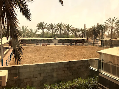 منزل مزرعة ركوب الخيل - السويق -