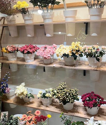 ساكورا - السيب - +968 9571 8191