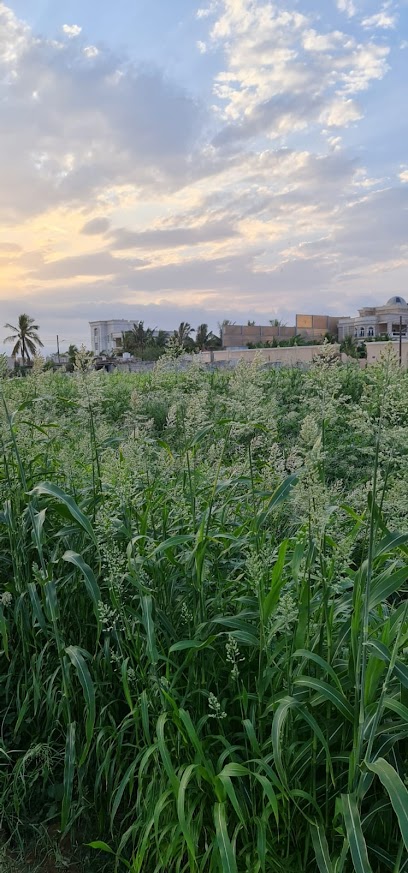 مزرعة الاخوة - Oman|Salalah|مزرعة الاخوه|352G+9M