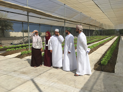 نوى جرين ش - الرميس - +968 9503 8165