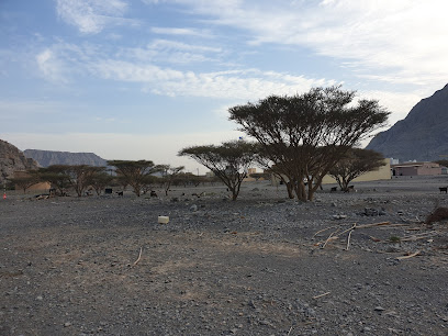 مسجد ذي النورين - خصب -