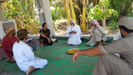 مزرعة علي بن حميد العامري - القابيل - +968 9943 1703