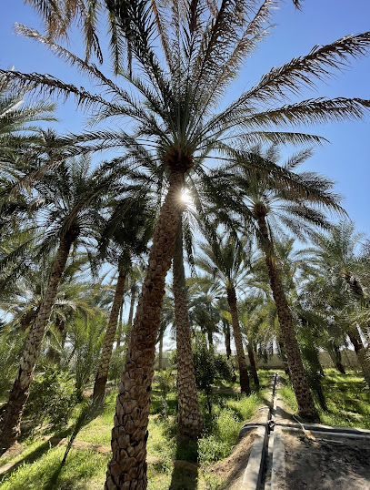 مزرعة سالم وخليفة بن محمد النعيمي - Oman|Al Buraimi|6QQJ+C28