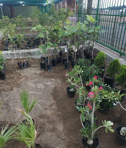 مشتل حدائق مزون - ولاية نزوى ، - +968 7910 5068