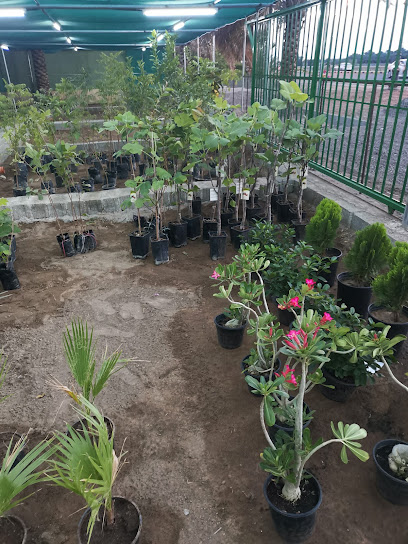 مشتل حدائق مزون - Oman|ولاية نزوى،|مشتل الحديقة الطبيعية - Natural Garden Nursery|VGPG+8C