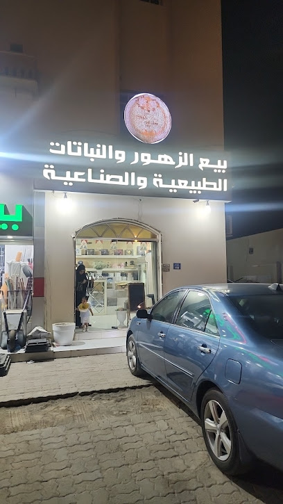 بيع الزهور والنباتات الطبيعية والصناعية - Oman|Sohar|Al Jamiah Street،|8Q4F+28W