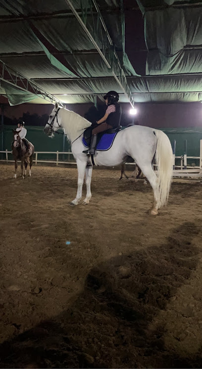 القرم للفروسية - Oman|مسقط،|2237 Way|JFFR+M93