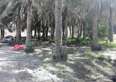 تاوي الجامعة - سرور - +968 9336 3903