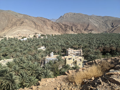 مزارع بركة الموز - بركة الموز - +968 9612 3290