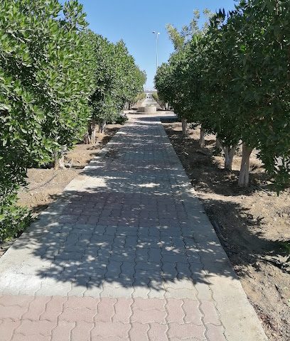 حديقة بهلاء - بهلاء -