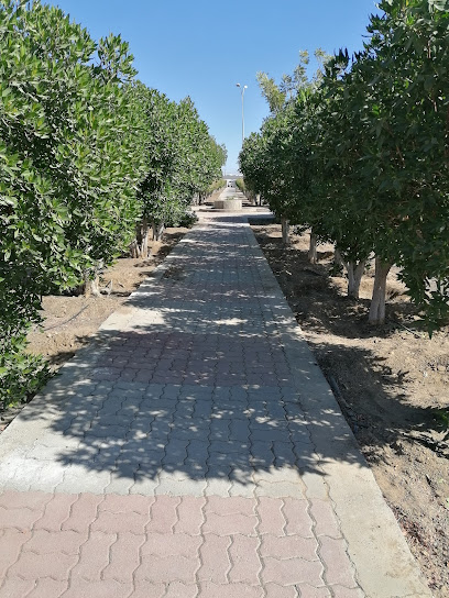 حديقة بهلاء - Oman|Bahla|2838+285
