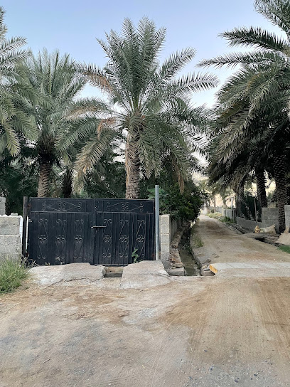 بريدية - Oman|ردة البوسعيد،|VG6G+VV