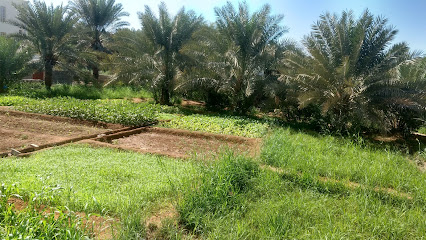مزرعة صغيرة - الخوض -