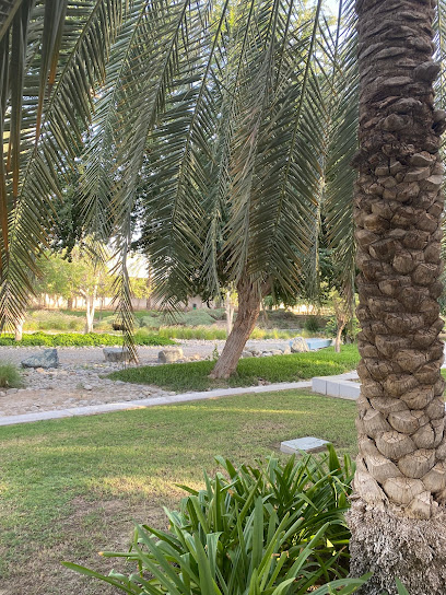 حديقة العذيبة - Oman|Muscat|H9QM+8JR