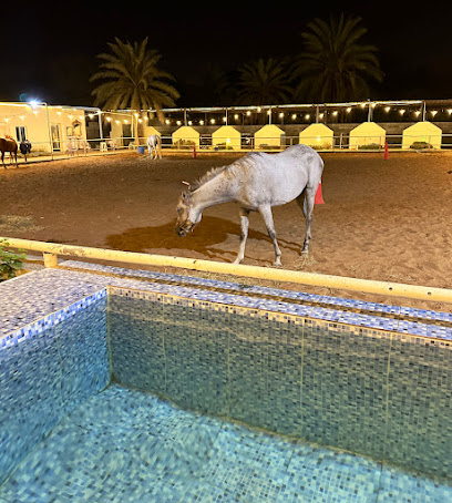 نادي الهاجري للفروسية نادي الهاجري للفروسية - صحار - +968 9600 1991