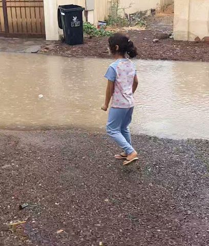 الشيخ أحمد بن سليمان الكيومي - صحار -