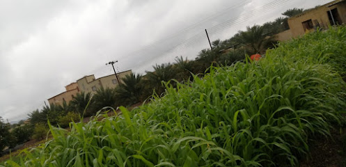 مزرعة جنائن السعد - سايح القع - +968 9562 5223