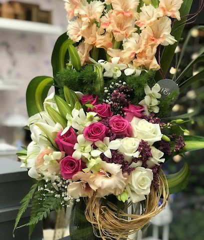 فيولا روز - السيب - +968 9545 8434