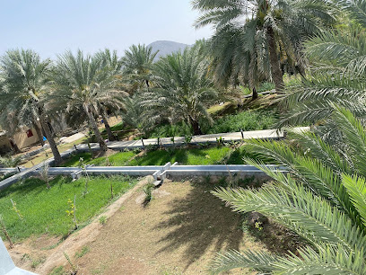 مزرعة المعمورة - إبرا -